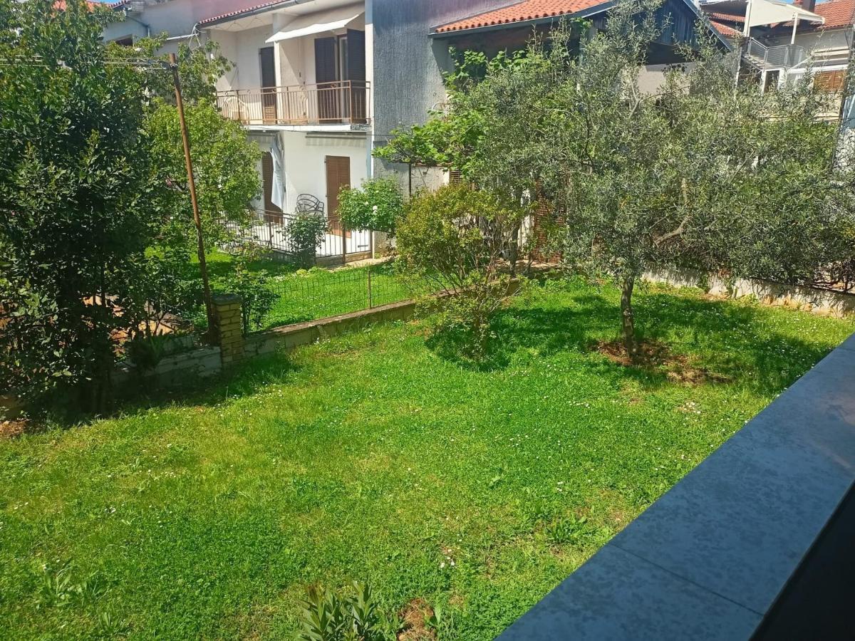 Apartment Marko