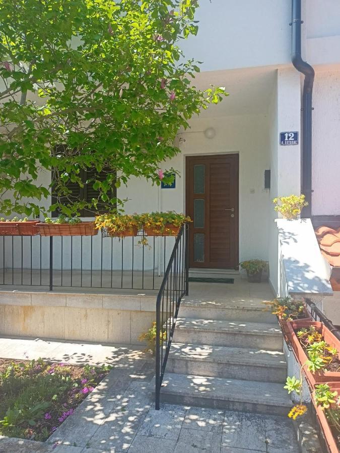 Marko Apartman Porec